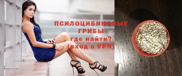 прущие грибы Белоозёрский