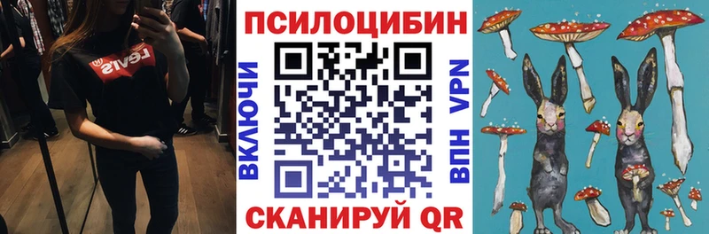 omg зеркало  даркнет сайт  Буинск  это клад  Псилоцибиновые грибы GOLDEN TEACHER 